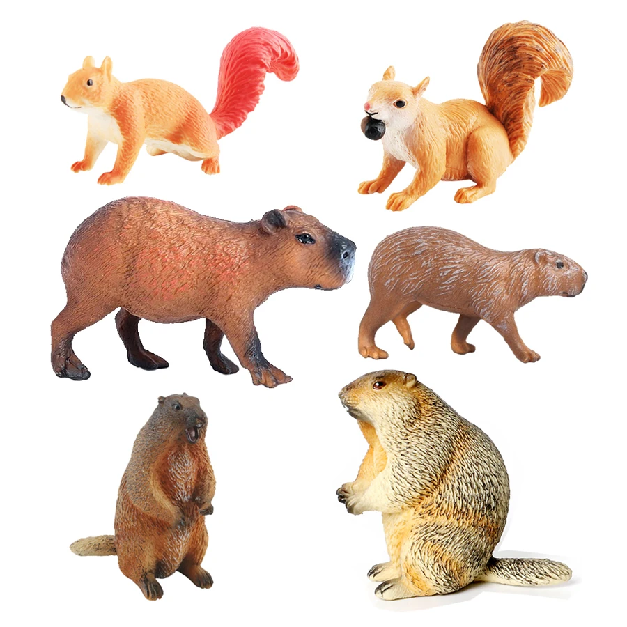 Kids Toys Reviews - Capibara Capybaras wiewiórka motk plastikowe figurki