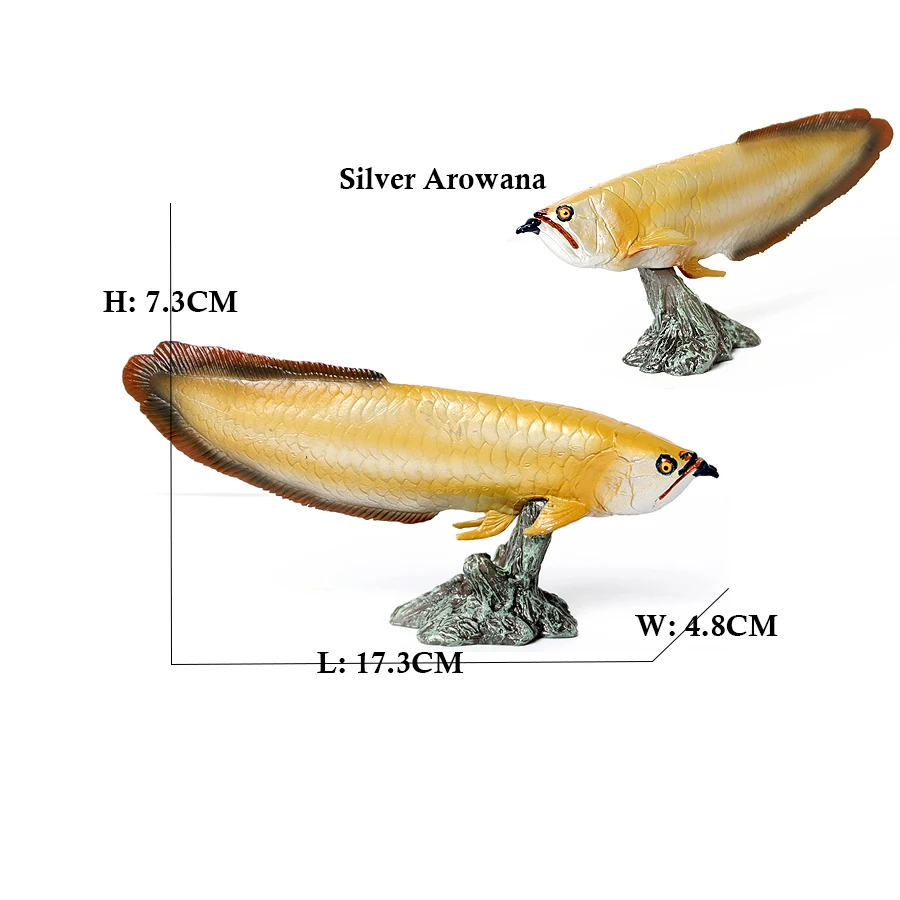 Arowana Pirarucu Coelacanth Bi – Kids Toys Reviews recenzja i cena
